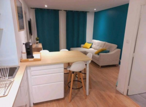 Très bel appartement T3 - Métro Mermoz - Parking